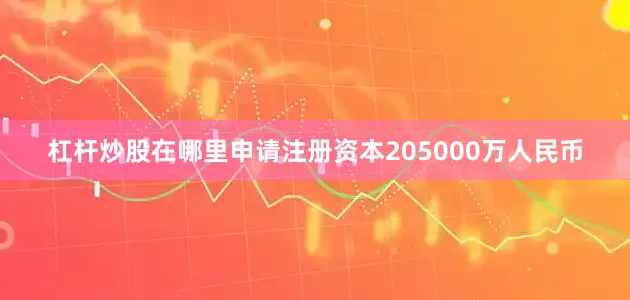 杠杆炒股在哪里申请注册资本205000万人民币