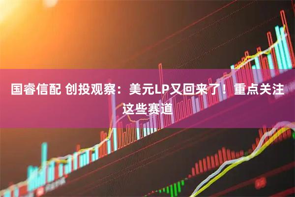 国睿信配 创投观察：美元LP又回来了！重点关注这些赛道